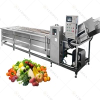 Lonkia Hoge Capaciteit Luchtbel Pruimen Groep Hami Meloen Haw Reinigingsmachines Groene Bladgroente Ozon Wasmachine