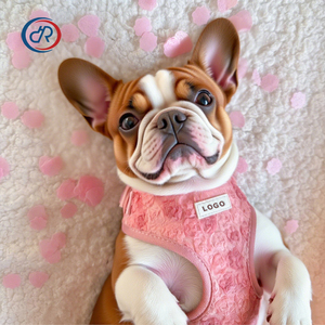 OKKPETS パーソナライズ ピオニーパップ 調節可能ネックハーネス カスタムロゴ 快適 リード＆カラーバンドル 犬用ハーネスセット - Product Image 3