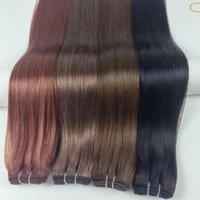 Extensions de Cheveux Humains Remy Vierges de Qualité Luxe, Double Trame, 14-26 Pouces
