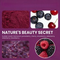 Poudre de baies d'açaï de qualité alimentaire la plus vendue, boisson populaire, jus sain et beauté, riche en vitamines, poudre de canneberge