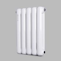 Radiateur mural rectangulaire traditionnel en anthracite, nouvelle génération, haute dissipation thermique, 800°C, vertical/horizontal, revêtement poudré, pour l'Europe