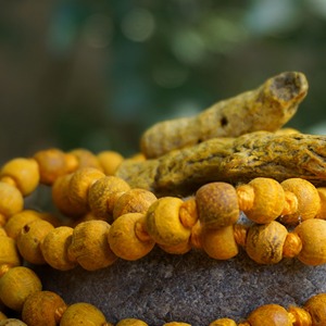 Collar de Oración Jap Mala de Madera con 108 Cuentas Amarillas de Cúrcuma Haldi, para Meditación, Canto y Prácticas Espirituales, Suministro a Granel, Empaquetado en Caja - Product Image 2