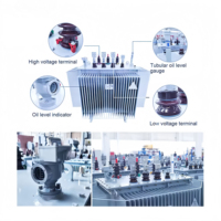 Transformador de Distribución LEINENG de 11 a 0.4kv, Transformador Montado en Poste de 100 Kva, Transformador Trifásico de 200 Kva, Transformadores de Media y Alta Tensión