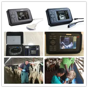 SUN-808F Venda quente Preço barato Handheld ultra-som dispositivo completo digital portátil Veterinária ultra-som máquina para animais