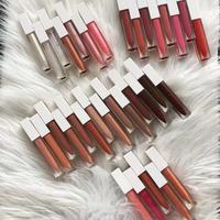 INS gros personnaliser brillant à lèvres faire votre propre marque liquide rouge à lèvres étanche 80 couleurs brillant à lèvres