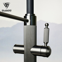 Robinet de cuisine en acier inoxydable avec douchette extractible, design moderne, filtre pour robinet de cuisine