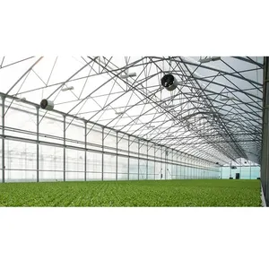 Commercial single-span greenhouse vegetable production Green House for Planting