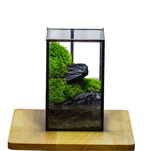 Étanche Fermer Géométrique Verre Étain Terrarium Ventouse Étang Maison <span class=keywords><strong>Jardin</strong></span> Mur Utilisation Kit <span class=keywords><strong>Mousse</strong></span> D'eau Paysage Plante Décoration - Product Image 1
