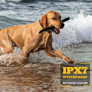 Collar de entrenamiento para perros con rango de Control de 1200M, con silbato remoto, productos de comportamiento para entrenamiento de mascotas, plataforma de entrenamiento para perros - Product Image 2