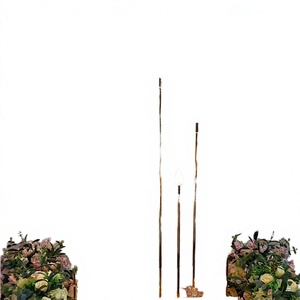 Luces Láser de Metal Dorado para Decoración de Bodas, Pasillos y Fiestas - Alimentación por CA, Multicolor - Product Image 1
