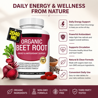 Prix de gros Capsules de racine de betterave OEM/ODM/OBM – Boost d'énergie, soutien immunitaire, meilleure absorption, personnalisation pour adultes prise en charge
