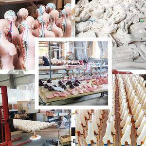 อวัยวะเพศหญิงภายในและภายนอกขั้นสูง - Product Image 4