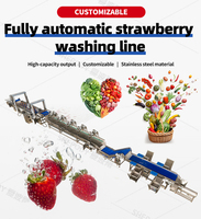 Automatische droogfruitwaslijn voor druiven, cranberries, frambozen, drakenvruchten; op maat gemaakte fruitreinigings- en drooglijn