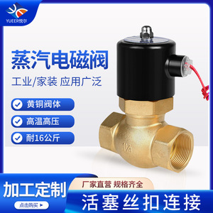 Vanne solénoïde en laiton pour vapeur haute température 2L15-50 AC 220V à commande pilote pour chaudière - Product Image 5