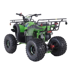 Xe địa hình trẻ em Tao Motor 110cc ATV tự động, xe địa hình 125cc khởi động điện, xe <span class=keywords><strong>4</strong></span> bánh 125cc dẫn động xích 2WD - Product Image 6