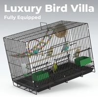 50 #   Cage d'élevage pliable en fer thermolaqué écologique avec plateau en plastique à motif solide et fermeture à bouton pour petites races d'oiseaux