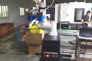 Brazo Robótico de Alta Eficiencia para Recoger y Colocar Objetos con PLC y Motor, Sistema de Manipulación Automatizado para Componentes Centrales - Product Image 6