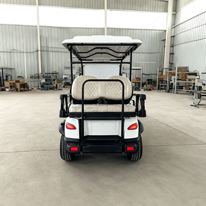 Voiturette de golf électrique 8 places, 7,5 kW de puissance, certifiée CE, véhicule touristique de tourisme - Product Image 4