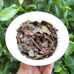 Tè Bianco Biologico Fresco Shou Mei con Consegna Rapida, Logo Personalizzato, Artigianato Tradizionale, Confezione Bulk, Incenso al Tè Bianco Delicato Puting Tsa - Product Image 3