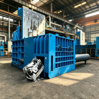Presse à balles hydraulique horizontale personnalisable de 315 tonnes pour le recyclage des déchets de fer, d'aluminium et de cuivre