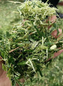 Máy Cắt Cỏ Ủ Chua Chạy Điện Màu Xanh Lá Cây Máy Cắt Thân Ngô - Product Image 6