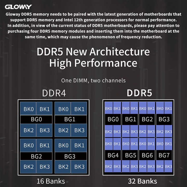Gloway G1 DDR5 RAM 32GB(16Gx2)kit 4800MHz 1.1V supports DDR5 
