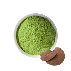 Освежающий органический Matcha Ganoderma аромат Matcha зеленый чай порошок поставщиков