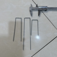 Clou de sol en acier inoxydable galvanisé à pointe affûtée de classe 4, à tige lisse, de type U, pour aménagement paysager