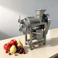 Commerciële hoogproductieve 220V fruitsapcentrifuge voor papaja, sinaasappel en passievrucht pulp.