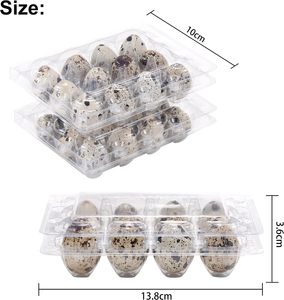 Boîtes d'emballage en plastique PET pour 6, 12, 18, 24, 30 œufs de caille, vente en gros directe usine pour œufs de caille géants et œufs de pigeon - Product Image 6