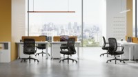 Chaise de bureau professionnelle à dossier en maille fixe, dossier respirant en maille avec coussin en éponge pour bureau commercial