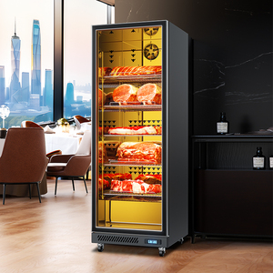 Volledig uitgeruste 316L 1-deurs koelkast met constante temperatuur, hoge esthetische waarde, commercieel gebruik voor rundvlees & vis - Product Image 4