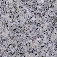 Vente en gros de carreaux de seuil en granit gris poli Marches et contremarches pour escaliers et escaliers Panneau mural extérieur en pierre naturelle