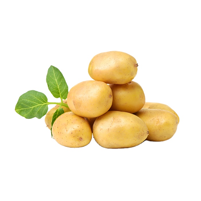 Популярный Овощной свежий картофель, экспортная цена на картофель