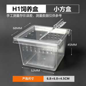 Caja de Cría para Reptiles de Plástico PP de Grado Alimenticio, Cuadrada y Pequeña, de Alta Calidad, Jaula para <span class=keywords><strong>Tarántulas</strong></span> con Ventilación - Product Image 6