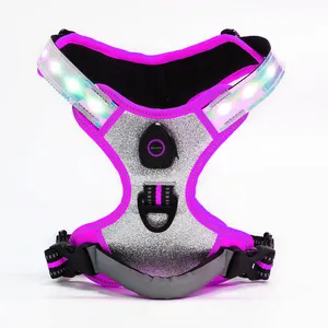 Funktionale mehrfarbige Nacht Safe Walking Padded Glitter Shining LED Reflektieren des Hunde geschirr für das Training