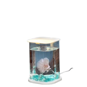 Giardino delle vacanze acquario decorativo solare, piccolo ed elegante <span class=keywords><strong>effetto</strong></span> di luce notturna da scrivania cilindrica - Product Image 2