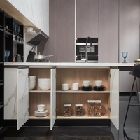 Meubles de cuisine modulaires modernes haut de gamme avec finition laquée, robinet d'évier, charnières et paniers de tiroir pour villas et appartements