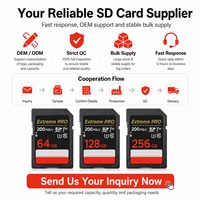 Boyue 64GB/128GB/256GB SDXC Kelas 10 U3 V30 Kartu SD Kamera Plastik dengan Garansi 10 Tahun Hitam Pengiriman Cepat Tersedia di Stok