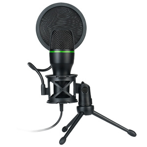 Micrófono de juego de condensador emisor de luz RGB de modelo privado, grabación de computadora, micrófono con cable de reducción de ruido de transmisión en vivo - Product Image 5