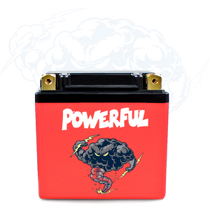 Nuova Batteria agli Ioni di Litio 36V 15AH, Pacco Batteria Ricaricabile 12.8v per Biciclette Elettriche e Scooter - Product Image 1