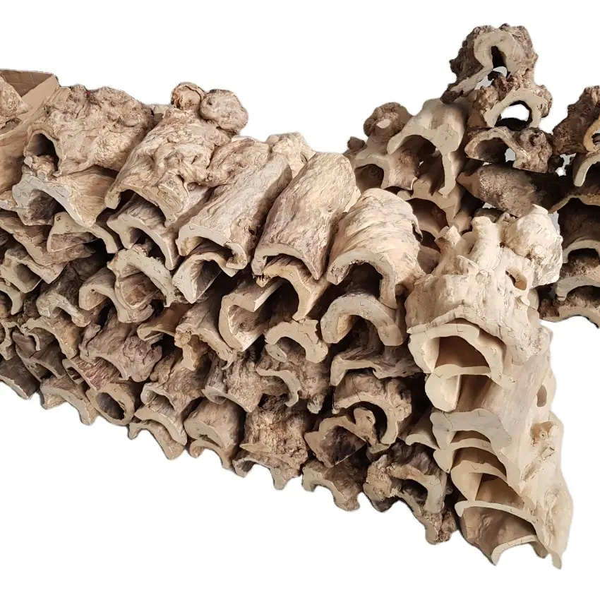 High Quality Best Selling Java Wood Reptile Terrarium Hideout For Reptile Cave Decoration from Indonesia