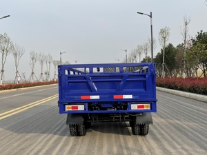 Популярные экспортные модели бензиновых трициклов: прочные топливные трициклы / бензиновые трициклы - Product Image 5