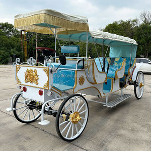 รถม้าวิคตอเรียสุดหรูสำหรับภาพถ่ายเจ้าสาว - Product Image 6