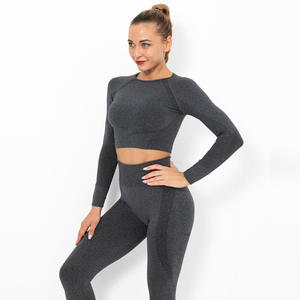 OEM ODM Seamless Contour <b>Gym</b> Tights & Long Sleeve Top for Women NVG Sports Wear Supplier's Fitness Sets Yoga Running Training - Product Image 2