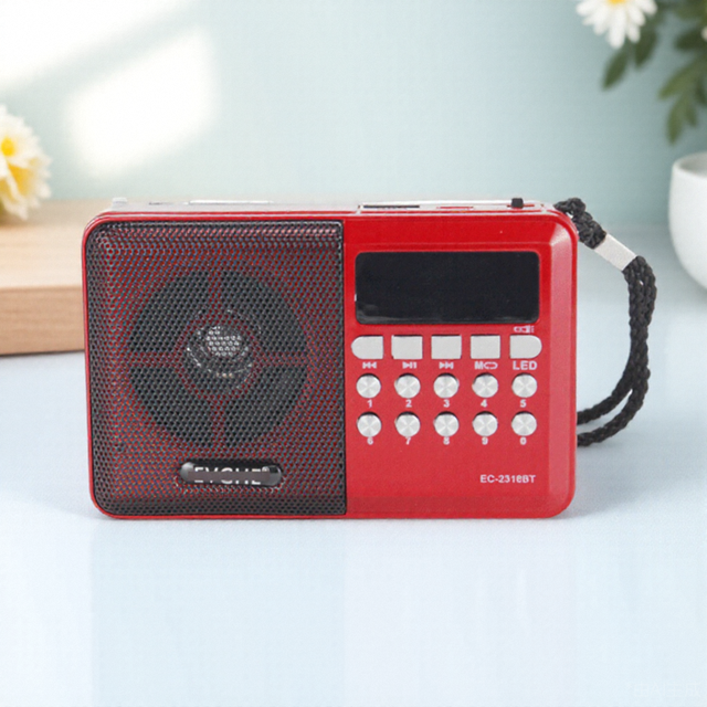 China Portable Rechargeable FM Radio with for Bluetooth TF Card MP3 USB Blue Color