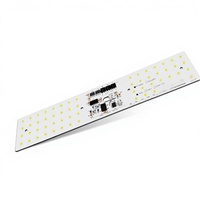 Módulos de Luces LED Personalizados de 50W, Blanco 2700k 6500k Opcional, Tamaño 48 MM*243mm, Entrada AC 230, Opcional para Alumbrado Público y Túneles