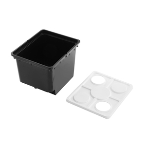 Bình Đựng Cà Chua Cỡ Trung Trồng Thủy Canh Xô Hà Lan - Product Image 3