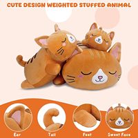 Peluche chat orange personnalisée lestée, en peluche courte avec billes lestées, mignonne, coussin cadeau