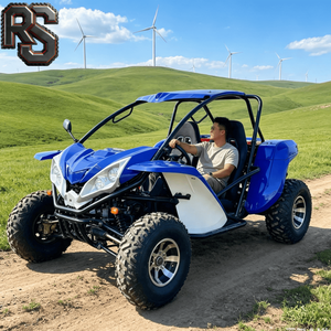 Buggy utilitaire multifonction Raxen 300cc 4x4 à transmission automatique pour la conduite sur route de gravier en milieu rural - Product Image 1